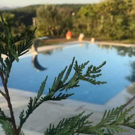 Mynaturalvilla Villa Sapanca