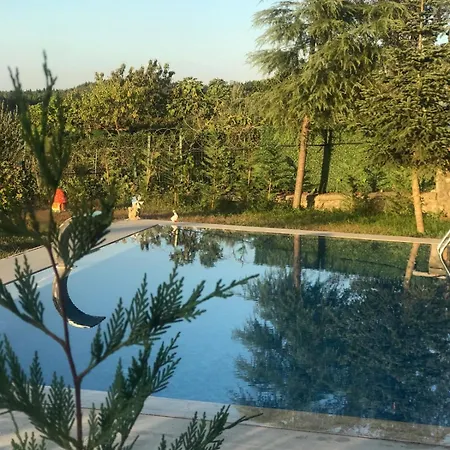 Mynaturalvilla