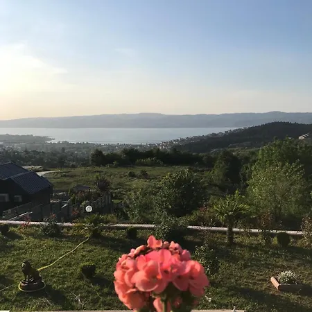 Mynaturalvilla *